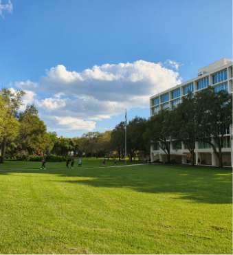 About Us | University of Miami